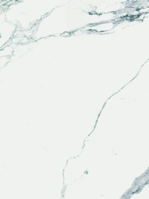 E-CARRARA-PREMIUM-MATTE-24X24-2 E-CARRARA-PREMIUM-MATTE-24X24-2