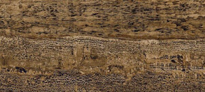 PA-CORTEX-BROWN-6X36-RECTIFIED-3 PA-CORTEX-BROWN-6X36-RECTIFIED-3